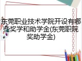 东莞职业技术学院开设有哪些奖学和助学金(东莞职院奖助学金)
