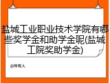 盐城工业职业技术学院有哪些奖学金和助学金呢(盐城工院奖助学金)