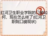 红河卫生职业学院的口碑如何，现在怎么样了(红河卫职院口碑现状)