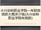 大兴安岭职业学院一年财政拨款大概多少钱(大兴安岭职业学院年拨款)