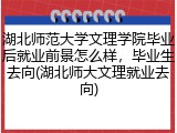 湖北师范大学文理学院毕业后就业前景怎么样，毕业生去向(湖北师大文理就业去向)