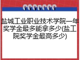 盐城工业职业技术学院一年奖学金最多能拿多少(盐工院奖学金最高多少)