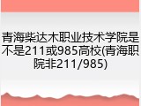 青海柴达木职业技术学院是不是211或985高校(青海职院非211/985)