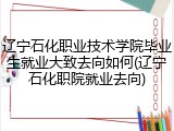 辽宁石化职业技术学院毕业生就业大致去向如何(辽宁石化职院就业去向)