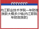 内江职业技术学院一年财政拨款大概多少钱(内江职院年财政拨款)