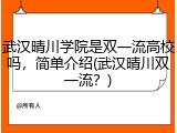 武汉晴川学院是双一流高校吗，简单介绍(武汉晴川双一流？)