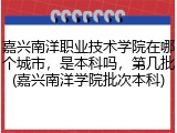 嘉兴南洋职业技术学院在哪个城市，是本科吗，第几批(嘉兴南洋学院批次本科)
