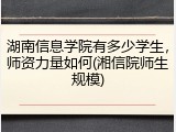 湖南信息学院有多少学生，师资力量如何(湘信院师生规模)