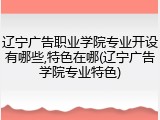 辽宁广告职业学院专业开设有哪些,特色在哪(辽宁广告学院专业特色)