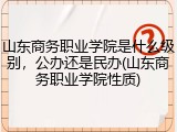 山东商务职业学院是什么级别，公办还是民办(山东商务职业学院性质)