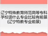 辽宁特殊教育师范高等专科学校读什么专业比较有前景(辽宁特教专业前景)