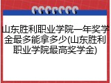 山东胜利职业学院一年奖学金最多能拿多少(山东胜利职业学院最高奖学金)