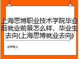 上海思博职业技术学院毕业后就业前景怎么样，毕业生去向(上海思博就业去向)