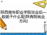 陕西青年职业学院毕业后一般能干什么呢(陕青院就业方向)