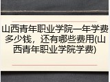 山西青年职业学院一年学费多少钱，还有哪些费用(山西青年职业学院学费)
