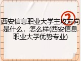 西安信息职业大学主攻方向是什么，怎么样(西安信息职业大学优势专业)