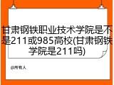 甘肃钢铁职业技术学院是不是211或985高校(甘肃钢铁学院是211吗)
