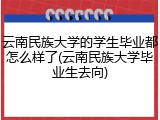云南民族大学的学生毕业都怎么样了(云南民族大学毕业生去向)