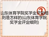 山东体育学院奖学金评定细则是怎样的(山东体育学院奖学金评定细则)