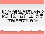 山东外贸职业学院的校园文化是什么，简介(山东外贸学院校园文化简介)