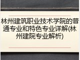 林州建筑职业技术学院的普通专业和特色专业详解(林州建院专业解析)