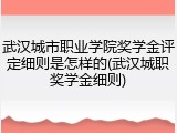 武汉城市职业学院奖学金评定细则是怎样的(武汉城职奖学金细则)