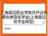 上海震旦职业学院共开设有哪些类型奖学金(上海震旦奖学金类型)