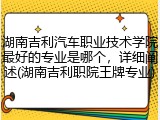 湖南吉利汽车职业技术学院最好的专业是哪个，详细阐述(湖南吉利职院王牌专业)