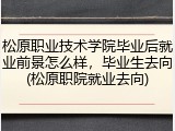 松原职业技术学院毕业后就业前景怎么样，毕业生去向(松原职院就业去向)