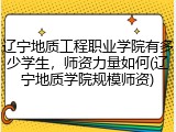 辽宁地质工程职业学院有多少学生，师资力量如何(辽宁地质学院规模师资)