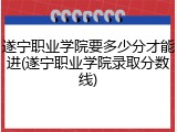 遂宁职业学院要多少分才能进(遂宁职业学院录取分数线)