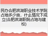 民办合肥滨湖职业技术学院占地多少亩，什么情况下成立(合肥滨湖职院占地与建校)