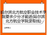 哈尔滨北方航空职业技术学院要多少分才能进(哈尔滨北方航空学院录取线)