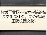 盐城工业职业技术学院的校园文化是什么，简介(盐城工院校园文化)