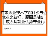 广东职业技术学院什么专业就业比较好，原因是啥(广东职院就业优势专业)