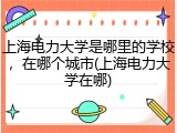 上海电力大学是哪里的学校，在哪个城市(上海电力大学在哪)
