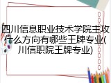 四川信息职业技术学院主攻什么方向有哪些王牌专业(川信职院王牌专业)