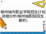 柳州城市职业学院招生计划详细分析(柳州城职院招生解析)