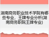 湖南商务职业技术学院有哪些专业，王牌专业分析(湖南商务职院王牌专业)