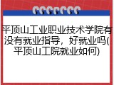 平顶山工业职业技术学院有没有就业指导，好就业吗(平顶山工院就业如何)