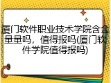 厦门软件职业技术学院含金量量吗，值得报吗(厦门软件学院值得报吗)