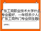 广东工商职业技术大学什么专业最好，一年招多少人(广东工商热门专业招生数)