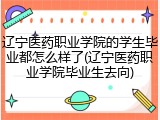 辽宁医药职业学院的学生毕业都怎么样了(辽宁医药职业学院毕业生去向)