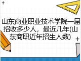 山东商业职业技术学院一届招收多少人，最近几年(山东商职近年招生人数)