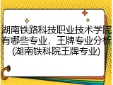 湖南铁路科技职业技术学院有哪些专业，王牌专业分析(湖南铁科院王牌专业)