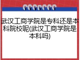 武汉工商学院是专科还是本科院校呢(武汉工商学院是本科吗)