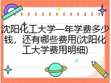 沈阳化工大学一年学费多少钱，还有哪些费用(沈阳化工大学费用明细)