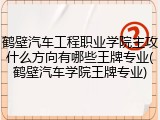 鹤壁汽车工程职业学院主攻什么方向有哪些王牌专业(鹤壁汽车学院王牌专业)