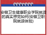 安徽卫生健康职业学院就读的真实感觉如何(安徽卫职院就读体验)