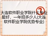 大连软件职业学院什么专业最好，一年招多少人(大连软件职业学院优势专业)